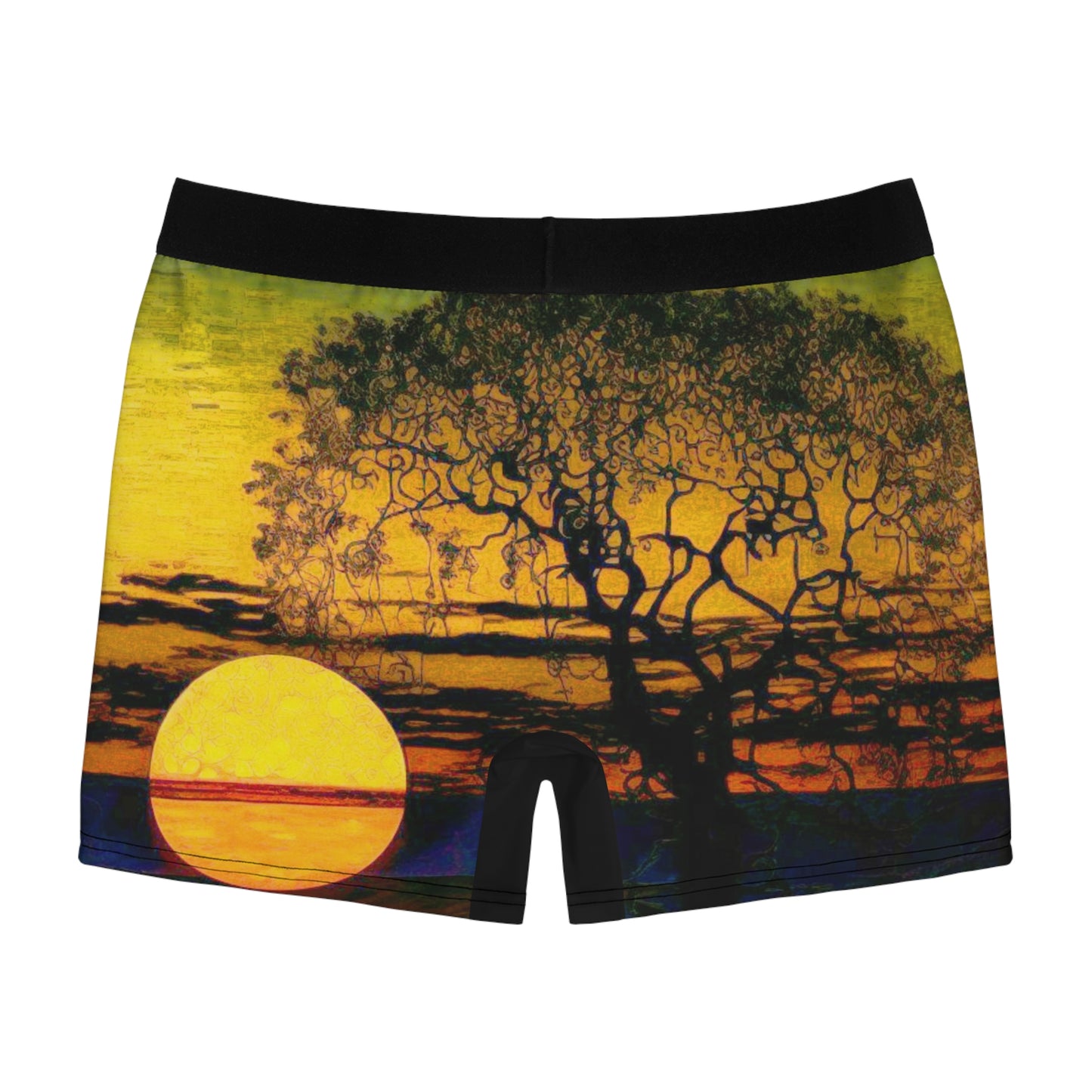 Men's Boxer Briefs (AOP)