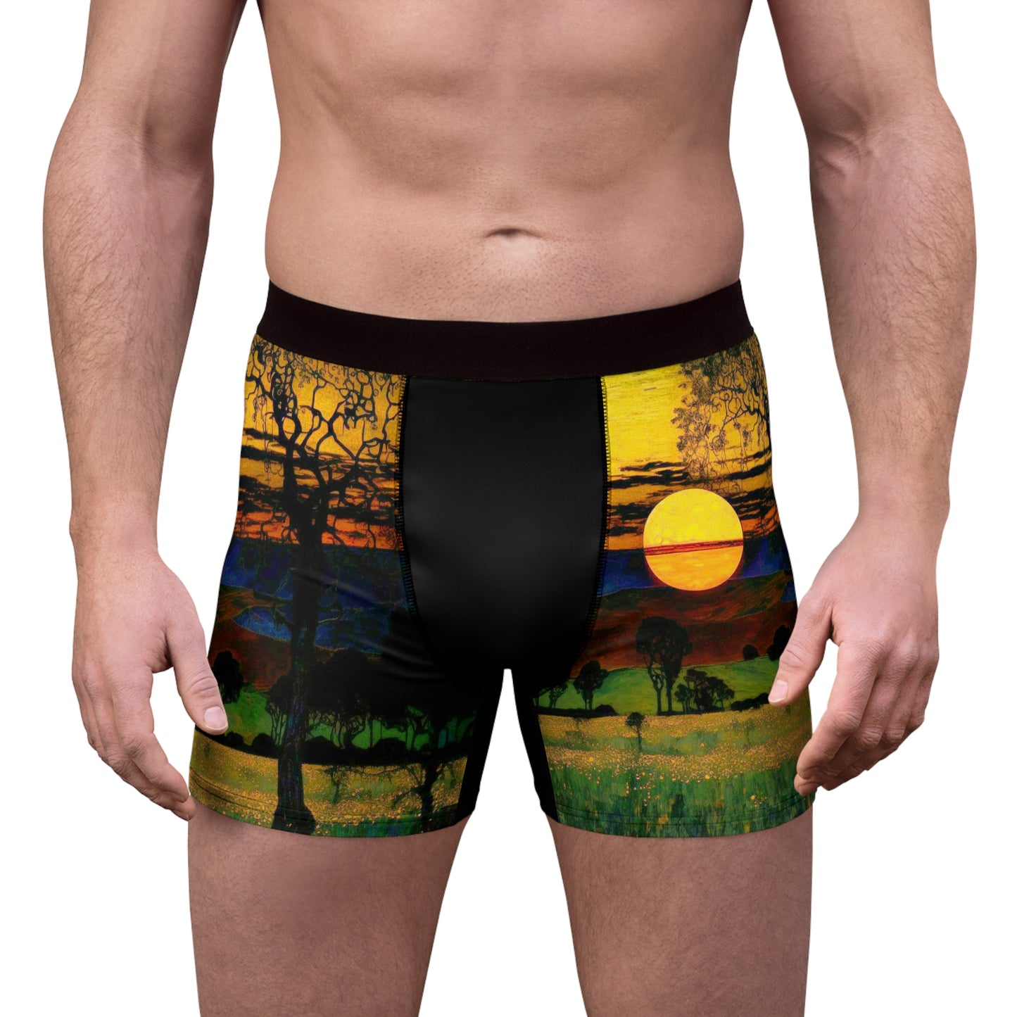 Men's Boxer Briefs (AOP)