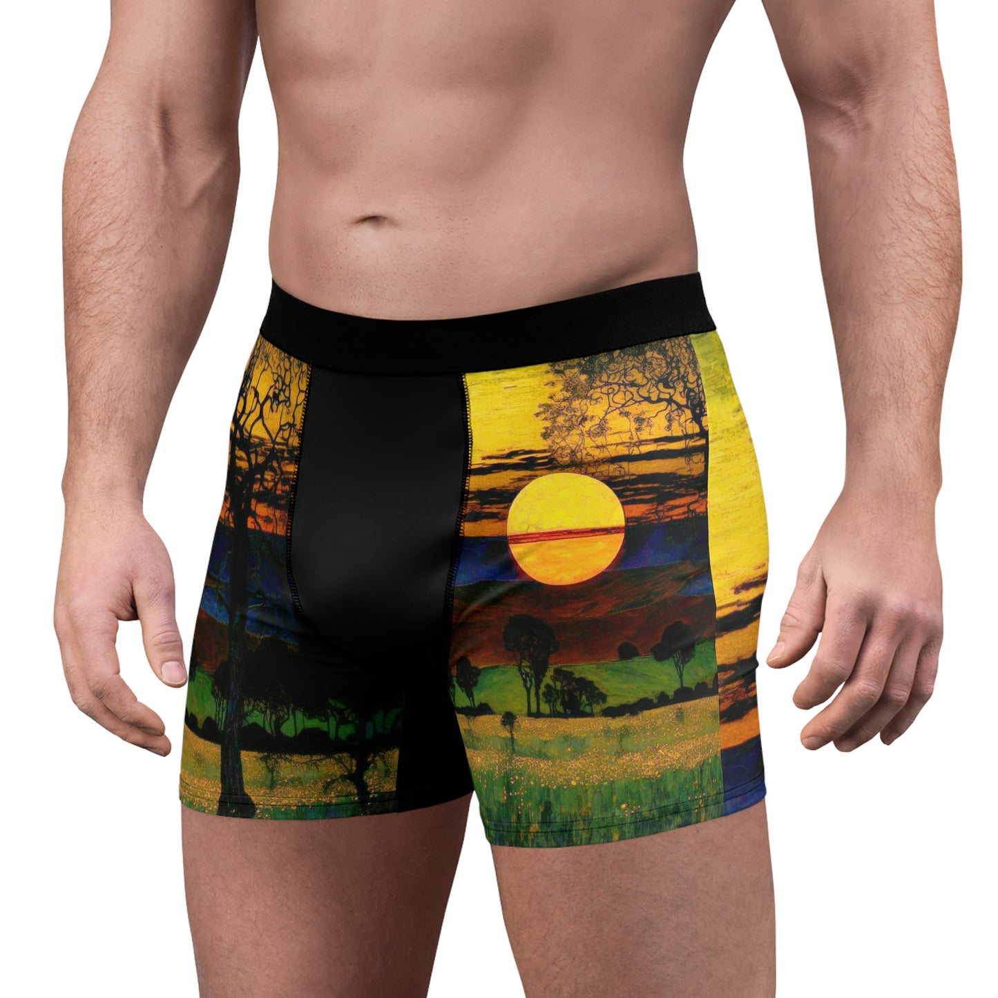 Men's Boxer Briefs (AOP)