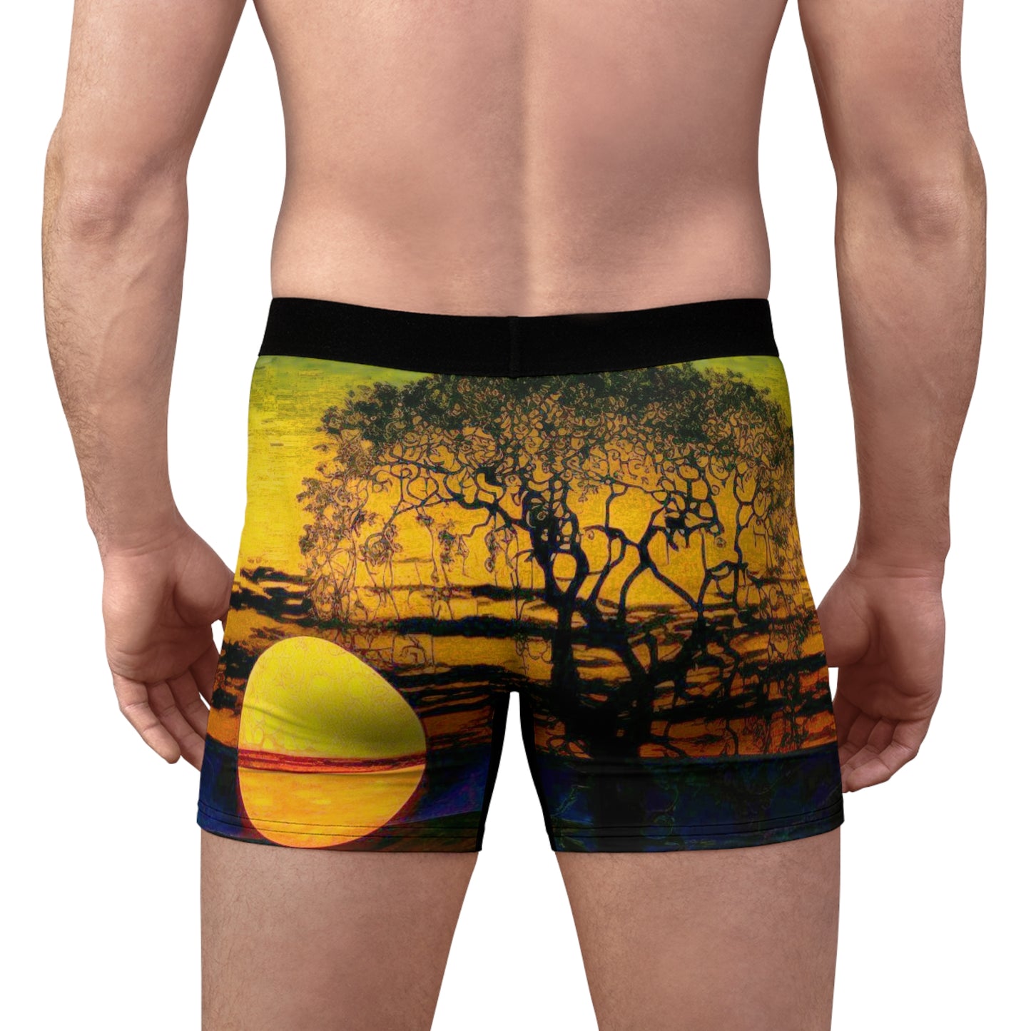 Men's Boxer Briefs (AOP)