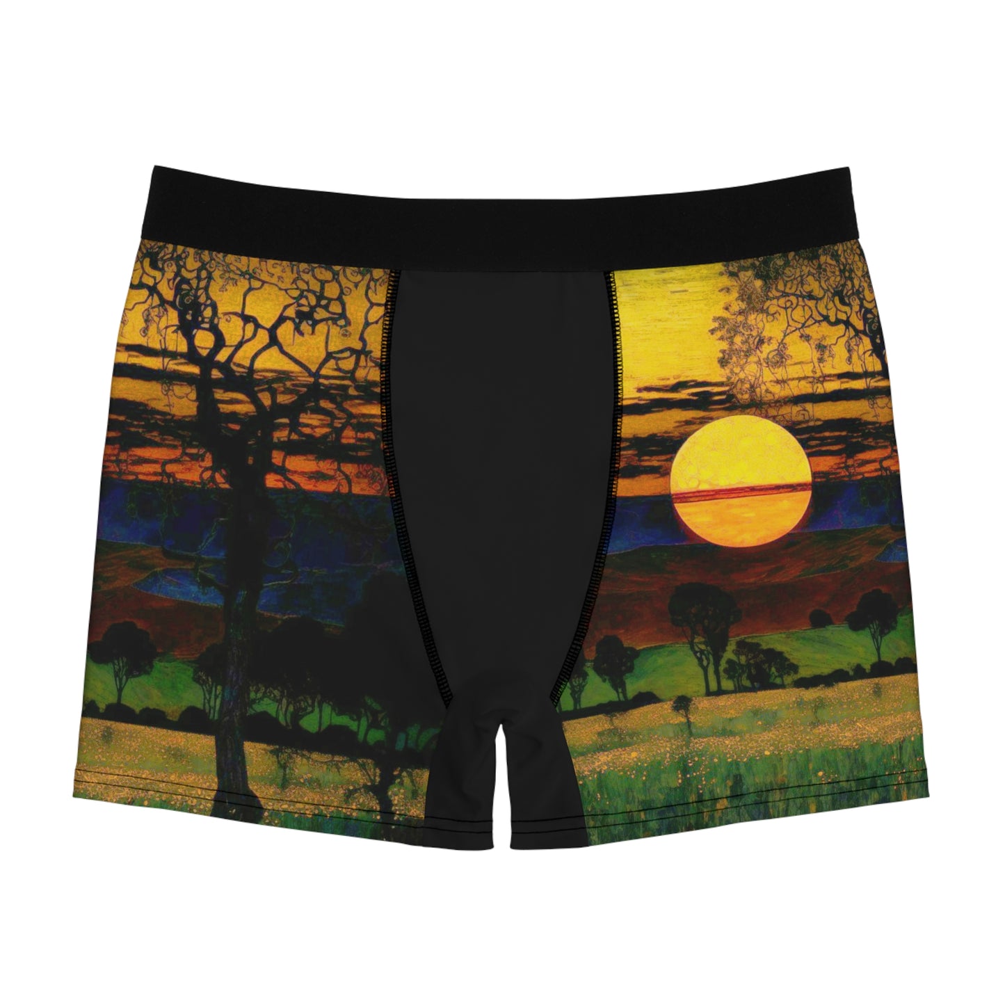 Men's Boxer Briefs (AOP)